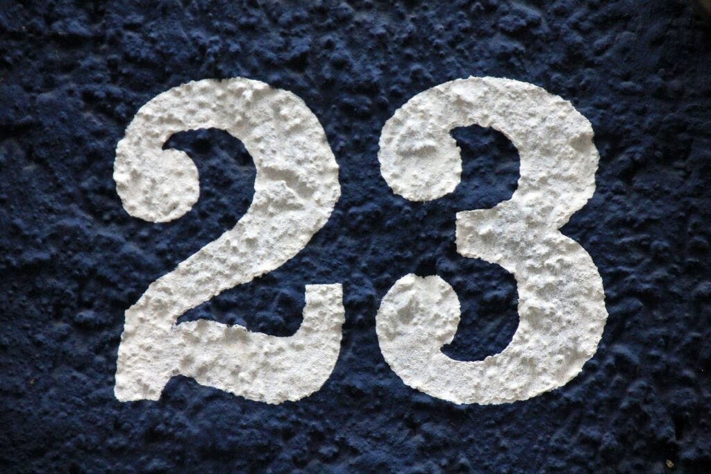 Значення числа 23