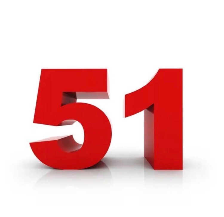 Число 51