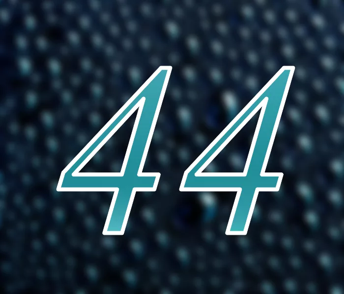 Число 44