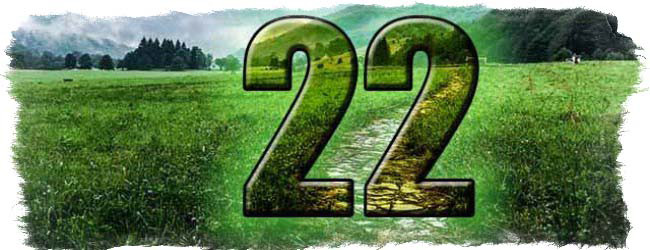Число 22