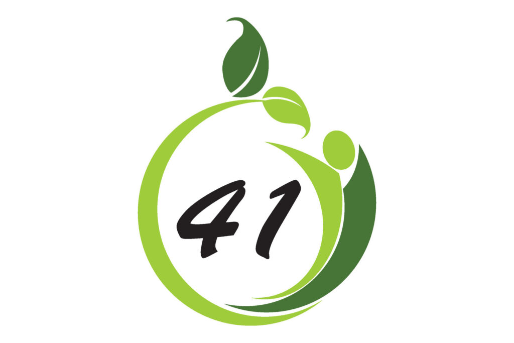 Число 41