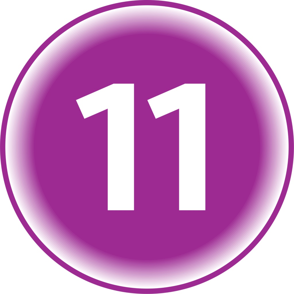 Число 11