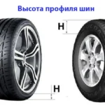 Какие летние шины лучше: низкопрофильные или стандартные?