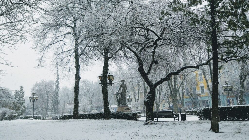 Расписание движения маршрутки №11 в Тернополе