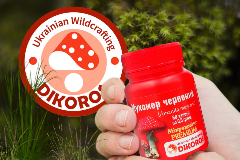 Як мікродозинг Мухомор Червоний впливає на нервову систему?